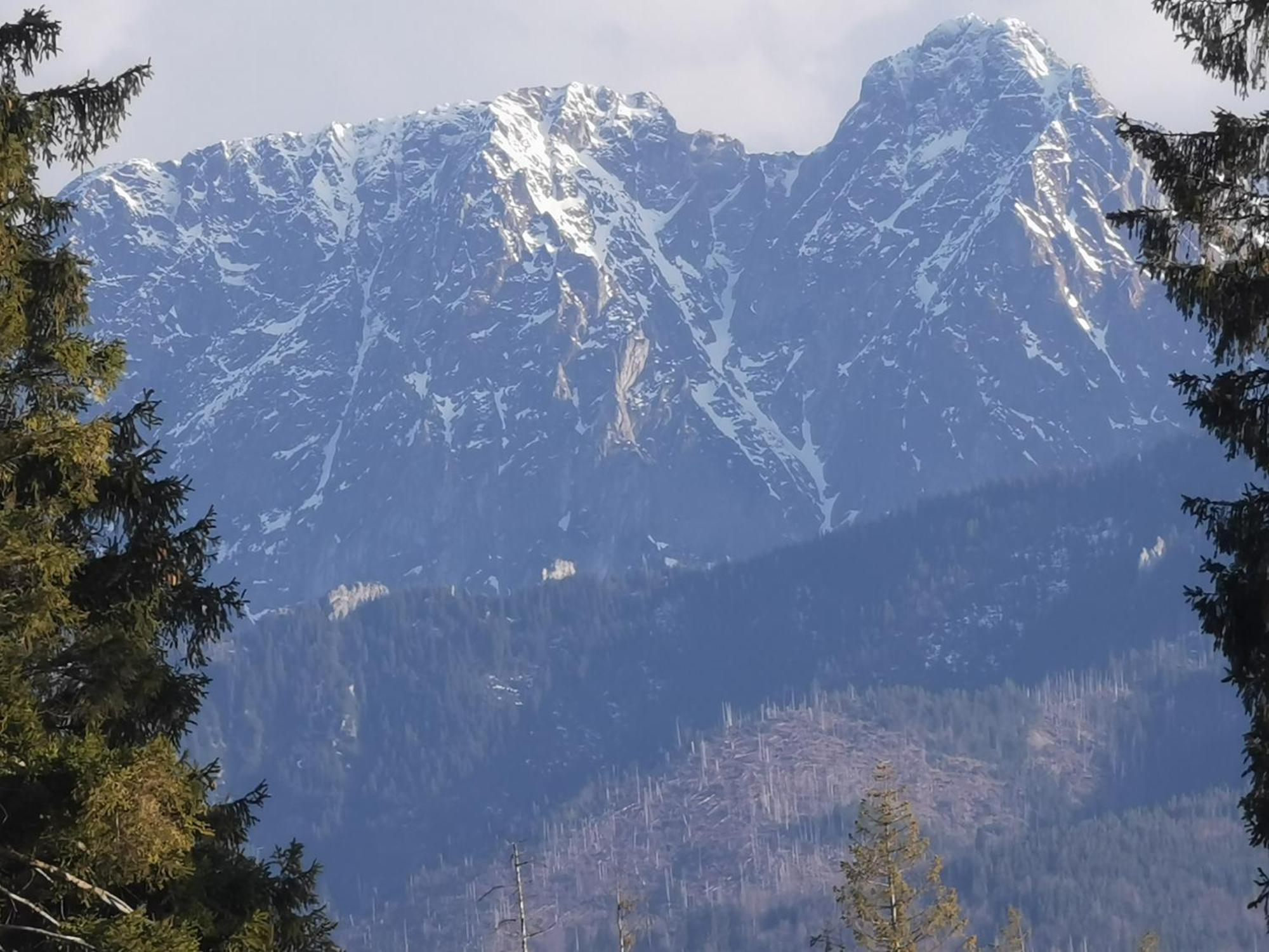 Malowany Domek W Gorach Ciche  Exterior foto